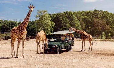 Campeggio Lake Resort Beekse Bergen