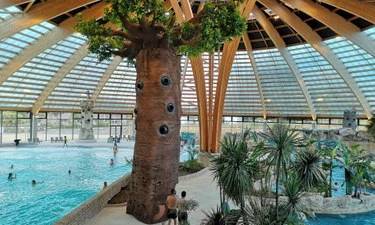 Camping Domaine des Ormes