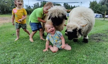 Holiday park de Toffe Peer