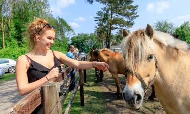 Camping de Reeënwissel