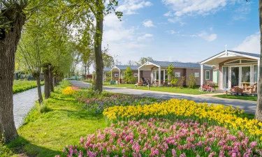 Familie Resort Molenwaard