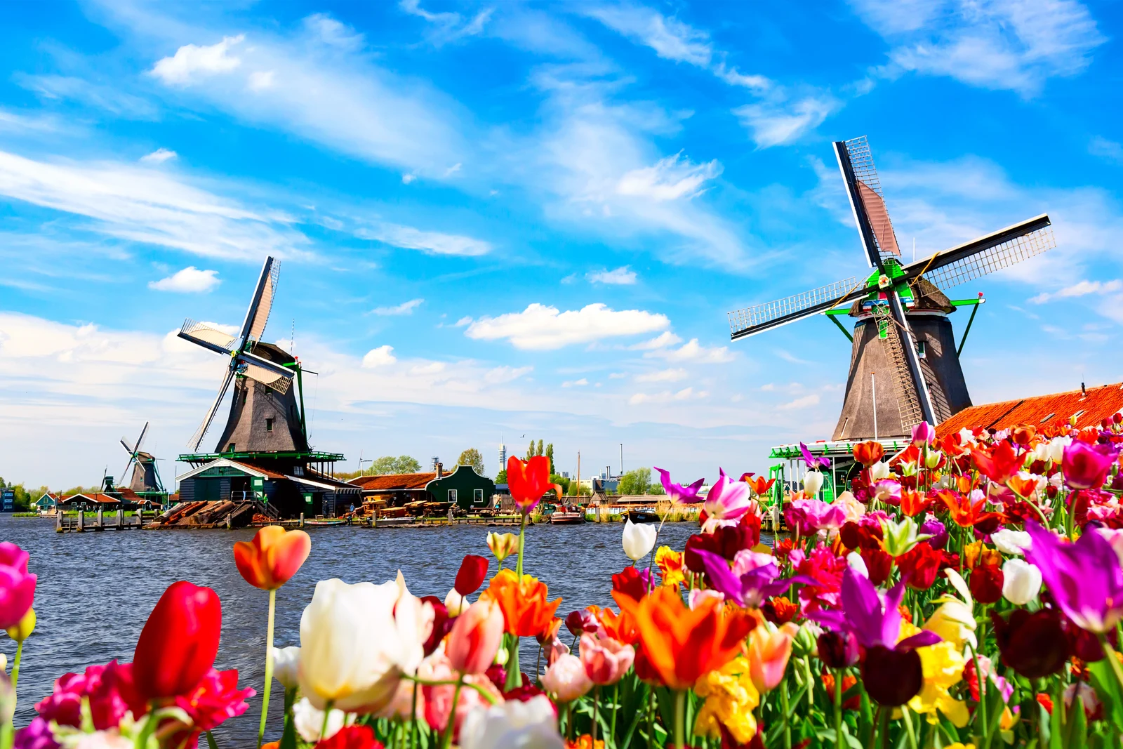 Zaanse Schans
