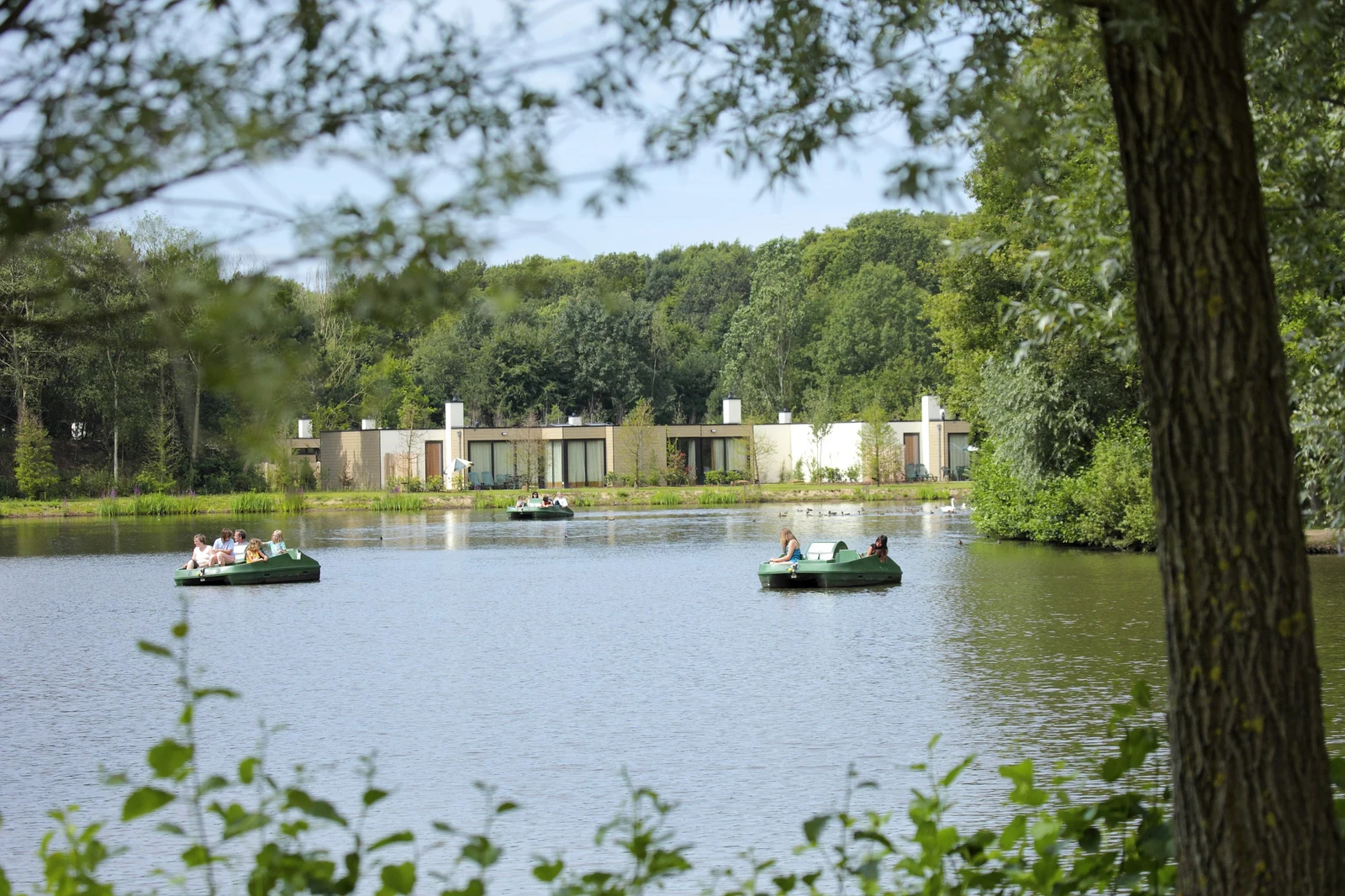 center parcs heijderbos bungalowrace