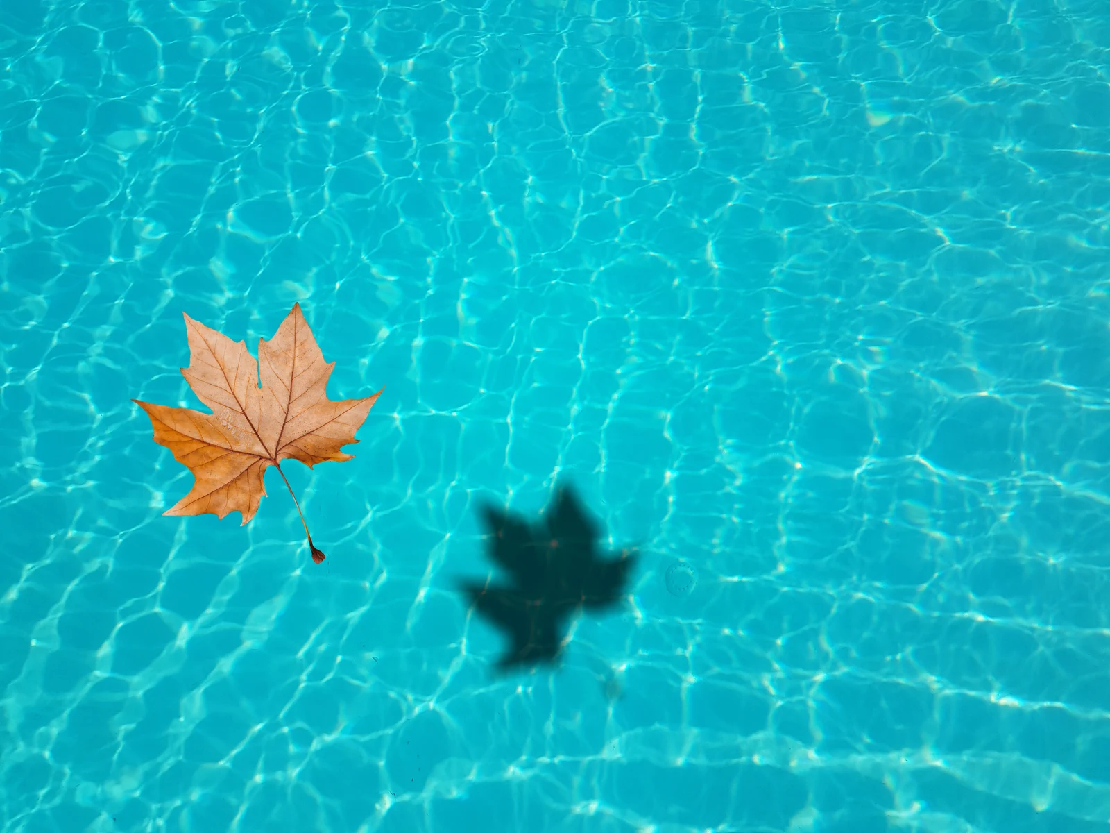 Autumn offers