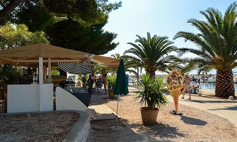 At Dole, individuals stroll and unwind beneath palm trees close to a shaded outdoor seating area by the water.
