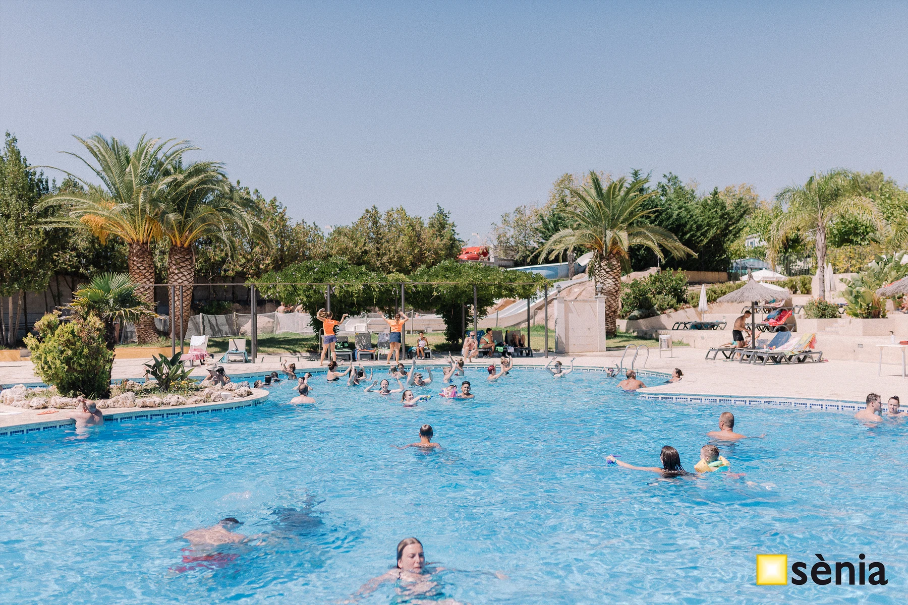At Tucan, individuals swim and unwind in a spacious outdoor pool encircled by palm trees and deck chairs.