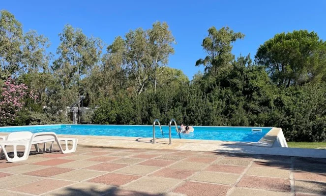 At Baia Paradiso, an individual unwinds in a swimming pool encircled by trees, next to sun loungers on a tiled terrace.