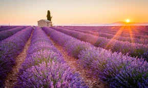 Provence