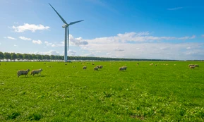 Flevoland