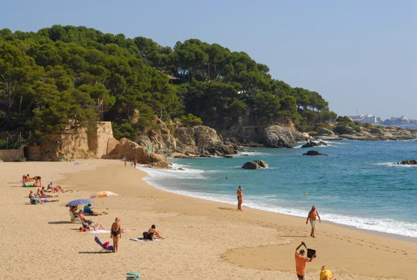 At Internacional de Calonge, individuals are lounging in the sun, swimming, and strolling along a sandy shoreline bordered by rugged cliffs and pine trees under clear skies.