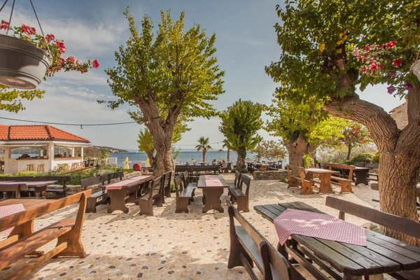 At Amadria Park Camping Trogir, wooden picnic tables are placed beneath leafy trees on a cobblestone terrace, providing a view of the sea.