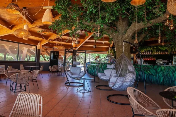At Tahiti, suspended egg chairs and rattan furnishings adorn an indoor lounge space featuring a prominent tree centerpiece.
