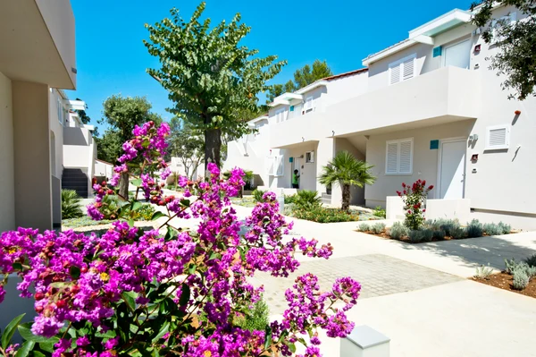 At Zaton Holiday Resort, vibrant blossoms bloom in a radiant courtyard surrounded by white structures and abundant greenery on a sunny day.