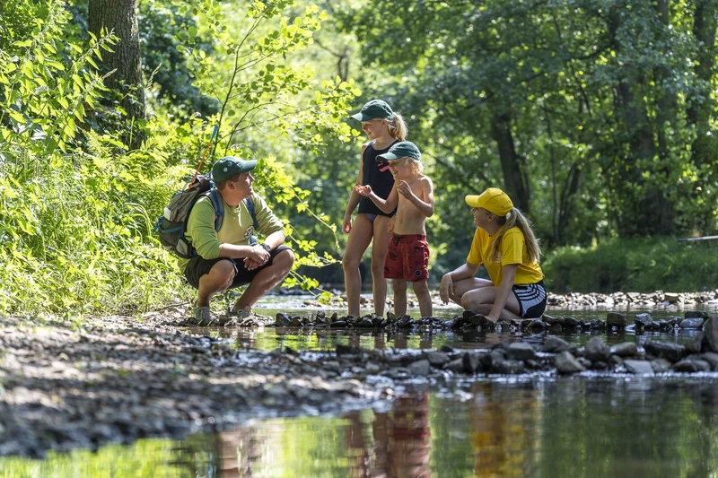 At Parc La Clusure, four individuals investigate stones in a stream encircled by vibrant foliage.